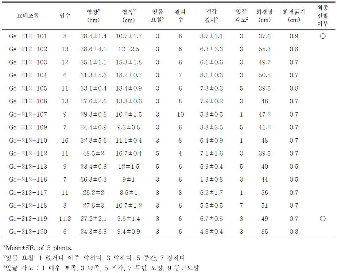 분홍색 계열 교배조합의 생육특성 및 선발여부