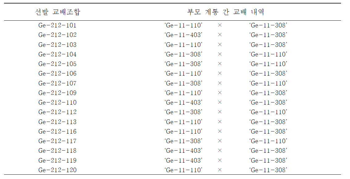 선발된 교배조합과 교배내역