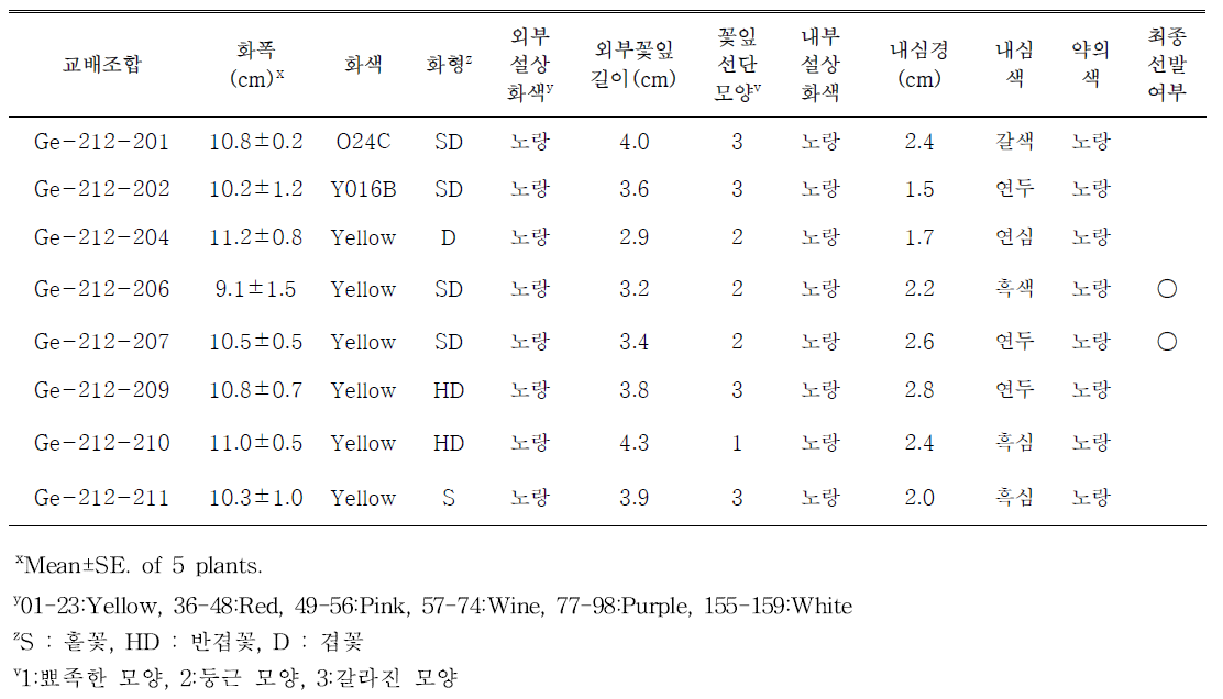 노란색 계열 교배조합의 개화특성 및 선발 여부