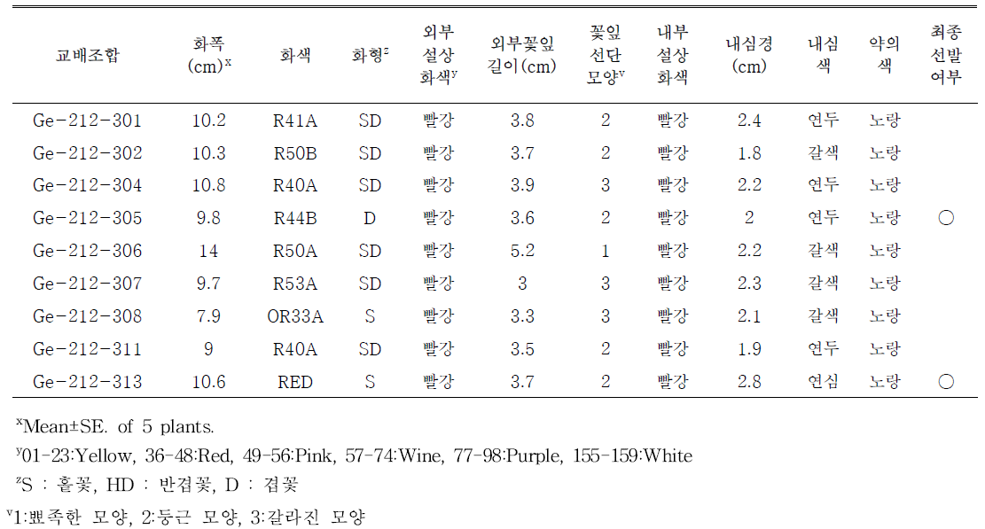 빨간색 계열 교배조합의 개화특성 및 선발 여부