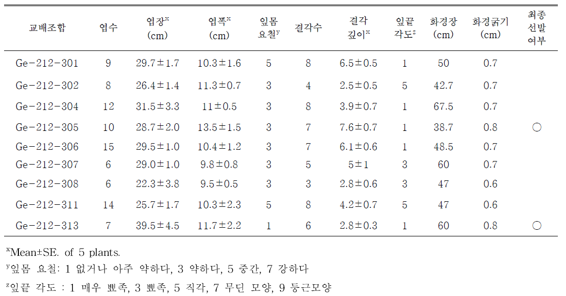 빨간색 계열 교배조합의 생육특성 및 선발 여부