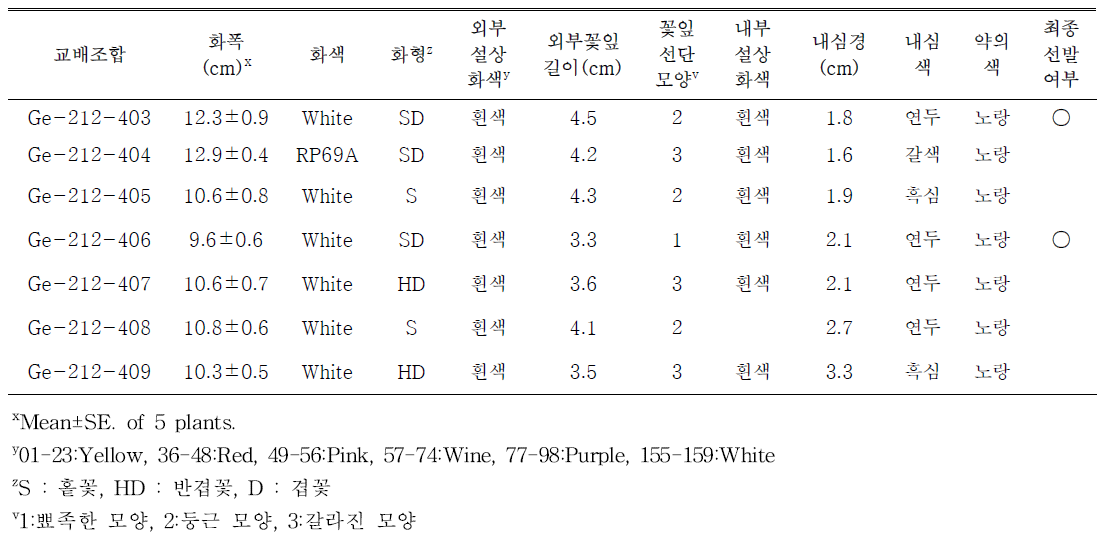 흰색 계열 교배조합의 개화특성 및 선발 여부