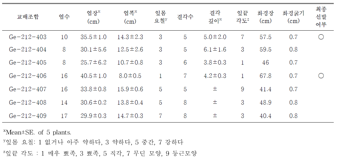 흰색 계열 교배조합의 생육특성 및 선발 여부성