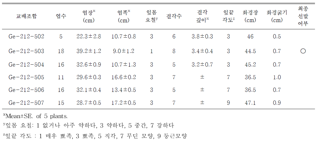 자주색 계열 교배조합의 생육특성 및 선발 여부