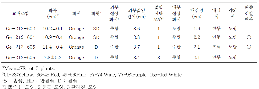 주황색 계열 교배조합의 개화특성 및 선발 여부