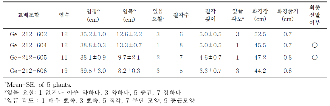 주황색 계열 교배조합의 생육특성 및 선발 여부