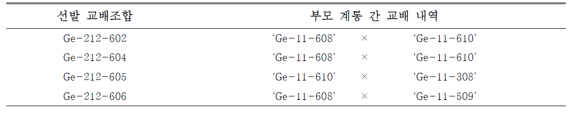 선발된 교배조합과 교배내역