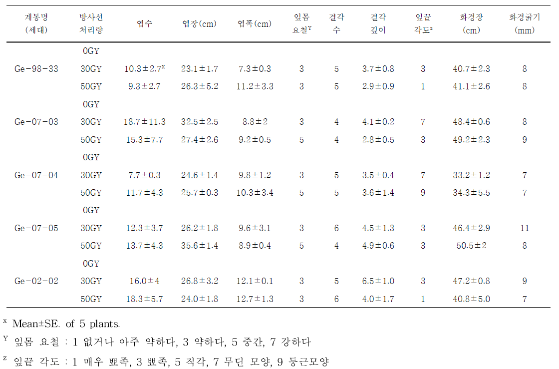 방사선 조사 처리 계통들의 생육특성