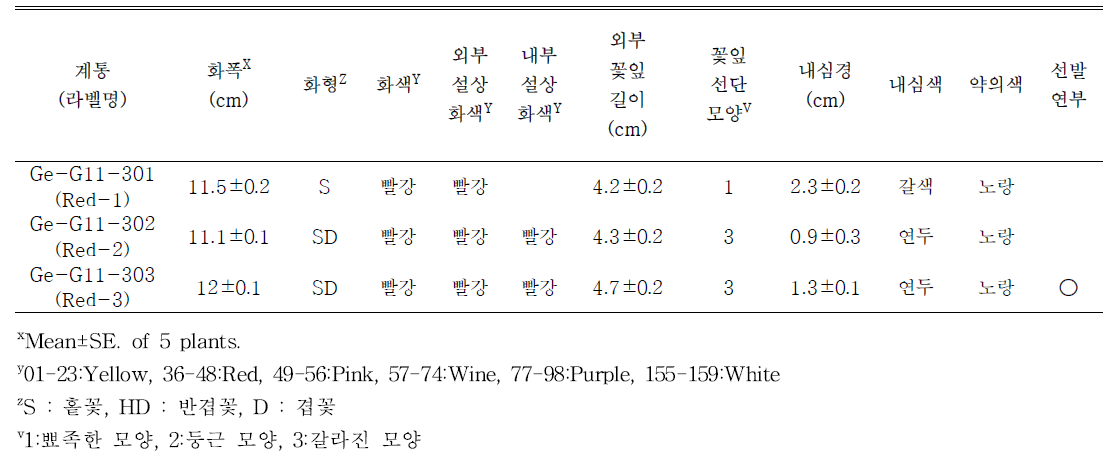 선발된 빨간색계통의 개화특성