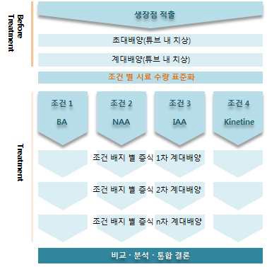 생장조절제 조건 별 실험 다이어그램