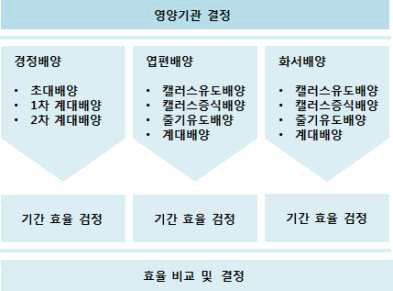 식물체 부위별 증식 속도 비교 실험 개념다이어그램