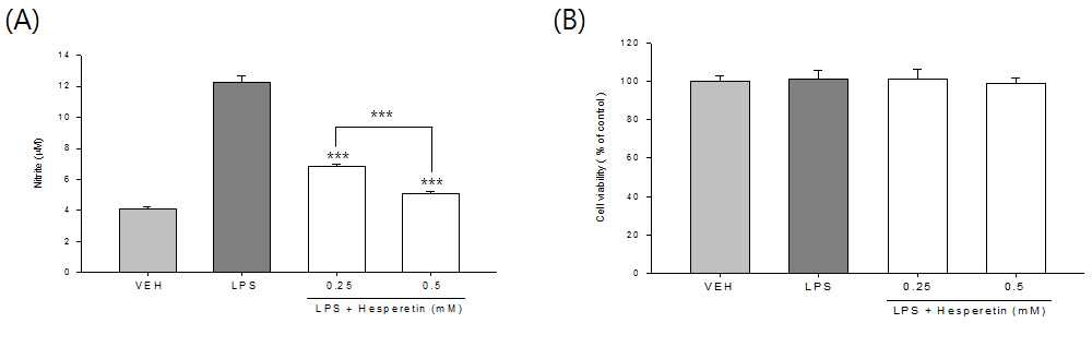 Fig. 3-2-29. Effects of hesperetin on NO production and cell viabilities in mouse RAW264.7 cells.