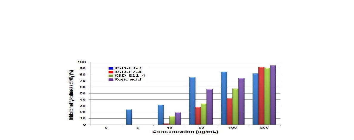 그림 3-3-7. 주박 분획물과 피부 미백의 대표 물질인 Kojic acid의 IC50 값 비교