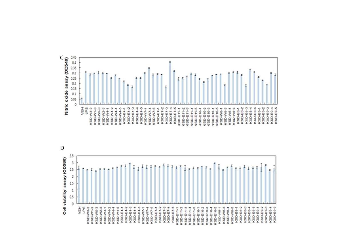 Fig. 3-2-6. Effects of eighty five kinds of lees extracts and their solvent fractions on production of nitric oxide (A,C) and cell viabilities (B,D) in RAW 264.7 cells. RAW 264.7 cells were treated with lees extracts and their solvent fractions (500 μg/ml (A,B) and 150 μg/ml (C,D)) for 18hr. After treatment, nitric oxide production was measured by nitric oxide assay and cell viability was measured using MTS proliferation assay kit.