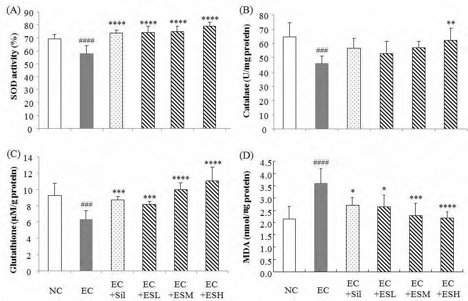 그림 140. 곰피 주정추출물과 에탄올을 투여한 마우스에서의 간 조직내 항산화 효소인 (A) SOD, (B) catalase, (C) glutathine 활성 및 (D) MDA 농도 측정.