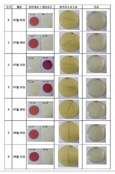 그림 156. 미생물 실험 결과
