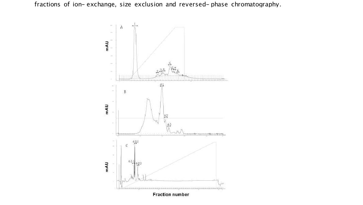그림 10. Separation procedures of ACE inhibitory peptides by ion-exchange (A), size exclusion (B), and reversed-phase chromatography (C).
