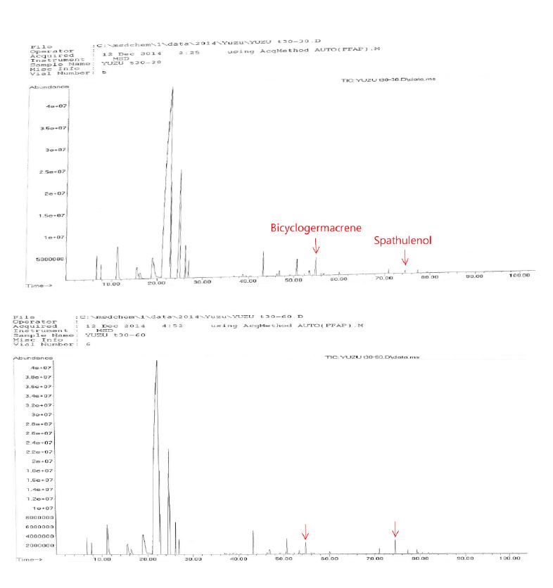 그림 1—30. GC peaks of yuzu essential oil by tocopherol treatment stored for 30~120 days at 30 °C.