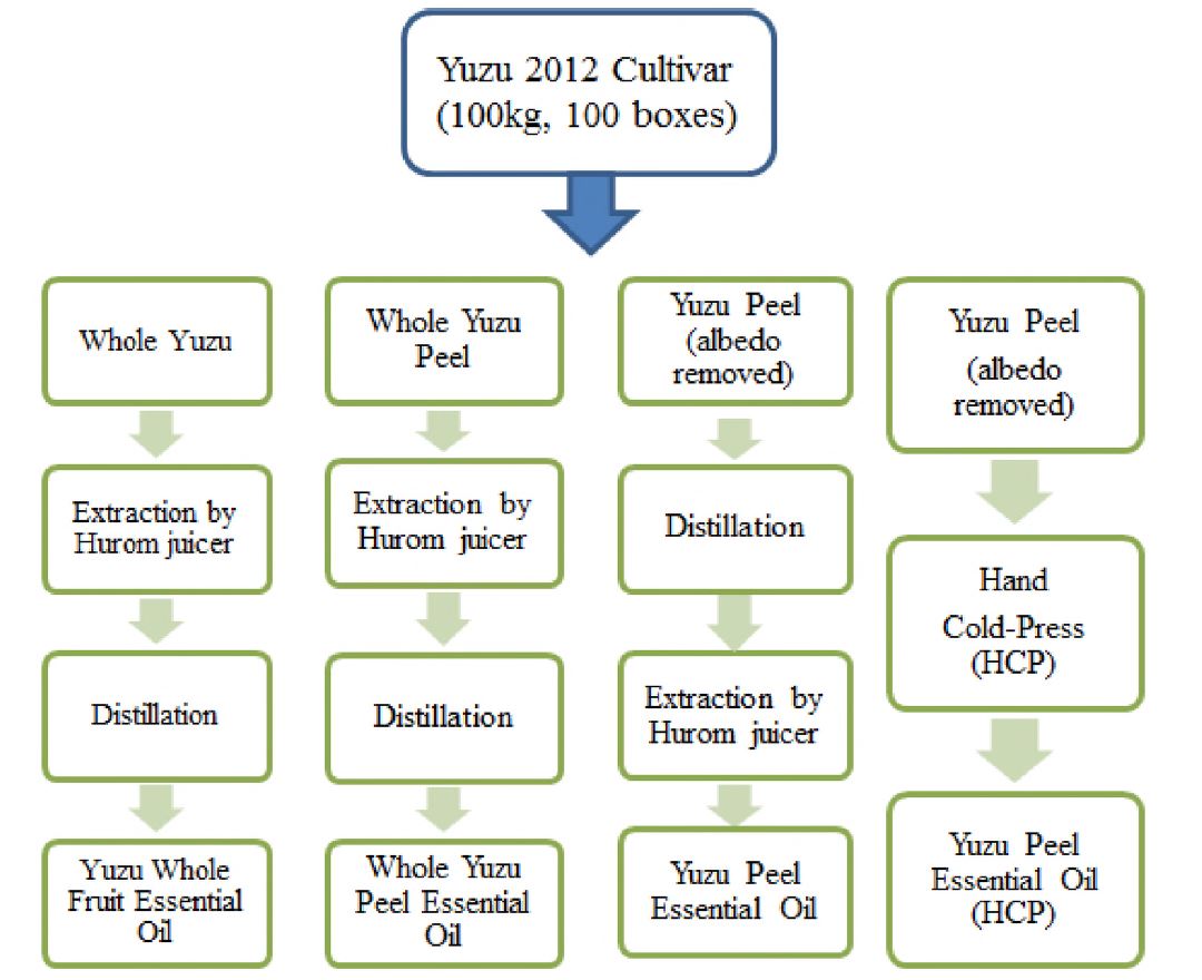 그림 2-2. 유자 부위별 정유 추출 공정