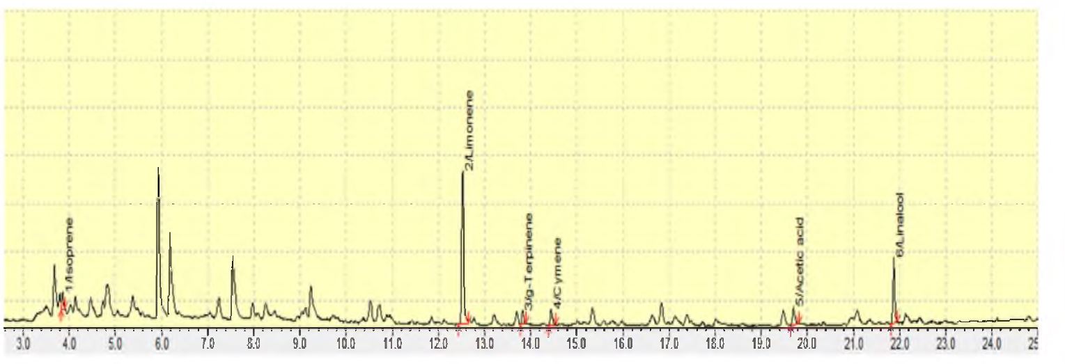 그림 2-10. GC MS chromatogram of yuzu peel 2013