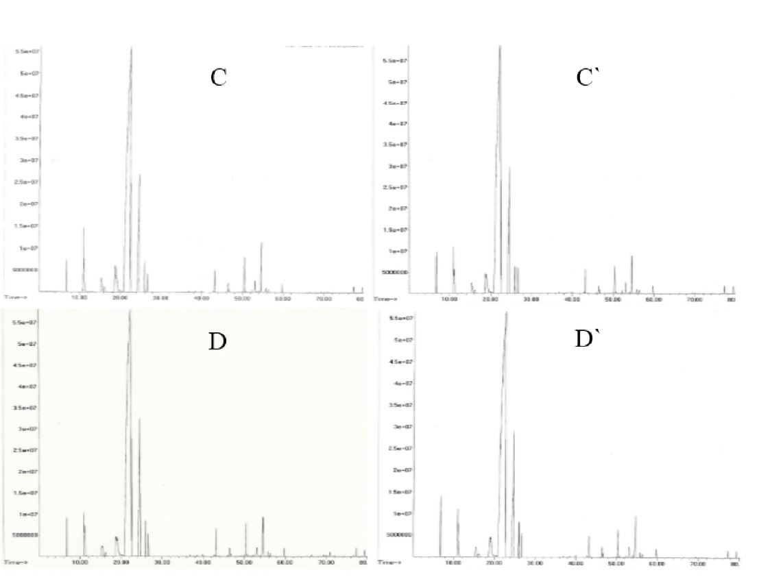 그림 1-22. GC peaks of yuzu essential oil by each fungi incubation.