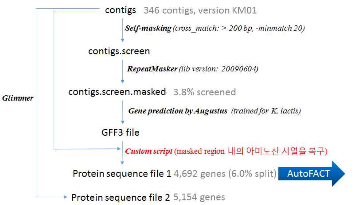 그림 3-13. KM01 버전에 대한 유전체 주석화 과정.