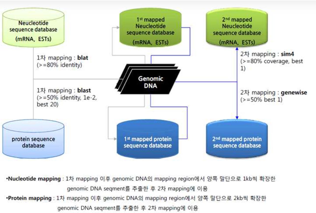 그림 3-19. Evidence gene model의 구축
