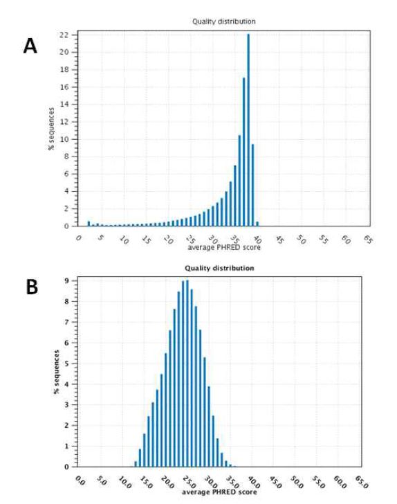 그림 3-38. Illumina Hiseq 2000(A)과 Ion Torrent PGM(B)의 quality distribution 비교.