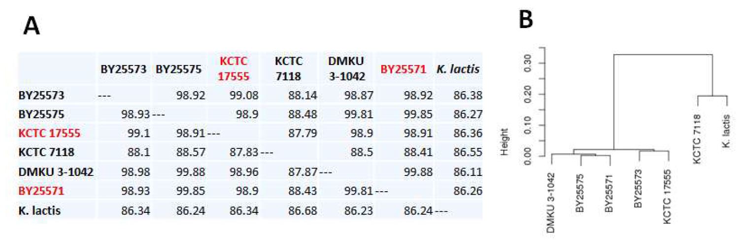 그림 3-39. De novo assembly 결과가 양호한 KM 관련 균주 4종을 1-3차년도 주력 해독 균주인 KCTC 17555 및 2종의 완성된 참조 서열(DMKU 3-1042 및 K. lactis ) 비교하였음.