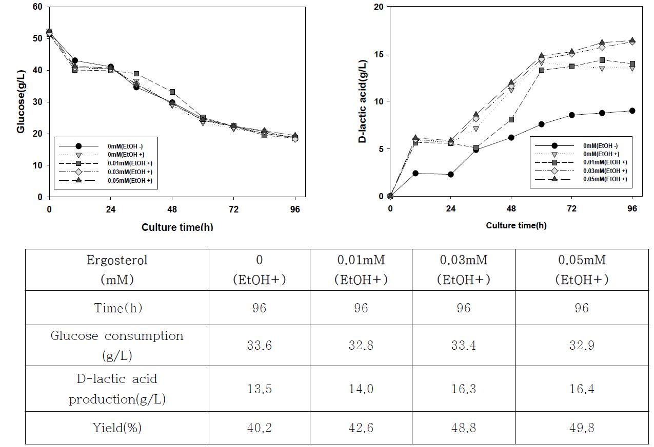 그림 7-27. Ergosterol 농도에 따른 lactic acid 생산량 분석