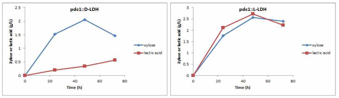 그림 7-59. Xylan 분해에 따른 xylose 및 lactic acid생산량 비교 분석