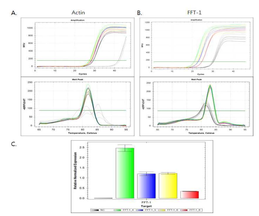 그림1-17. SST-1과 FFT-1의 발현율이 높은 개체를 selection 하기 위한 quantitative PCR (Real-time PCR)