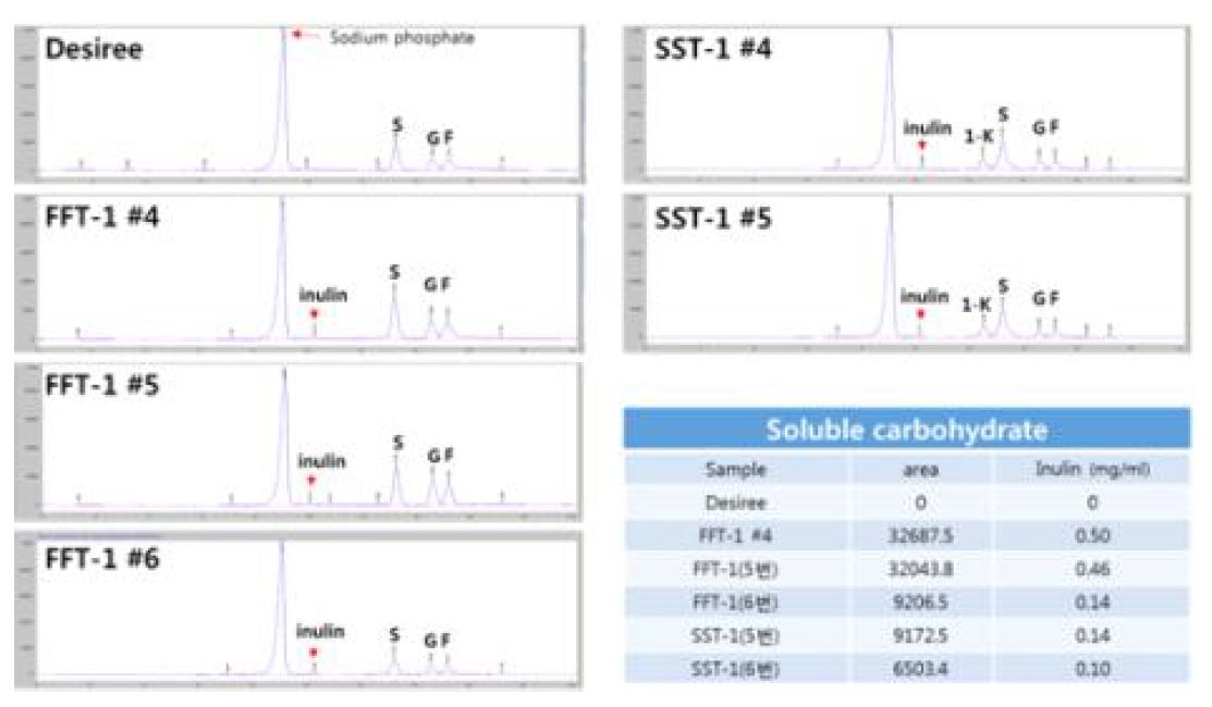 그림 1-18. HPLC 분석법에 의한 SST-1 및 FFT-1 형질전환체의 fructan 분석