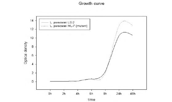 그림. 변이주 1소ctobadllus ML-7과 Lactobacillus LS-2의 MRS broth 에서의 성장 비교