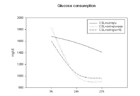 그림. 단백질원이 Lactobacillus ML-7 균주의 glucose 소비에 미치는 영향