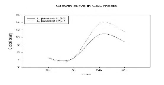 그림. 최적화된 CSL 배지에서 Lactobacillus LS-2와 Lactobacillus ML-7 의 성장 비교