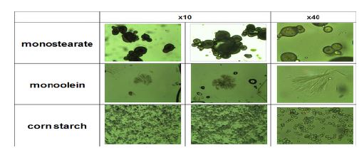 그림. 전분，monostearate 및 monoolein의 미세구조 관찰.