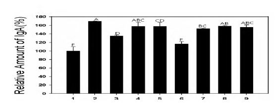 그림. 유산균 제제의 사료첨가제가 혈청 중의 면역 immunoglobulin A 농도에 미치는 영향
