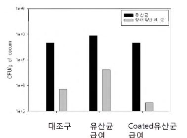 그림. 유산균 제제의 급여가 장내 미생물 성장에 미치는 영향