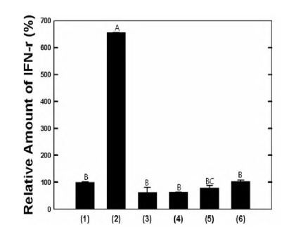 그림. Salmonella golinarium 강제 급여에 의한 육계의 interferon-y 영향