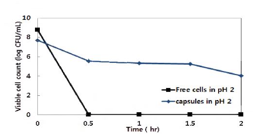그림. W/O 에멀젼 기법을 이용하여 캡슬화 시킨 Lactobacillus plantarum과 처리되지 않은 유산균의 pH 2 환경에서의 균수 변화
