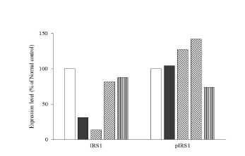 Fig. 4-7. Effects of germinated rice extract C5 fraction (GRE C5) on the expression levels of the insulin receptor substrate 1 (IRS1) and phospho-IRS1 Tyr608 (pIRS1) in skeletal muscles of C57BLKS/J-db/db mice or C57BLKS/J-db/db mice