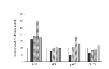 Fig. 4-8. Effects of germinated rice extract C5 fraction (GRE C5) on the expression levels of phosphatidylinositol 3 kinases (PI3K), Akt, phospho-Akt Ser473 (pAkt) and glucose transporter type 4 (GLUT4) in skeletal muscles of C57BLKS/J-db/db mice or C57BLKS/J-db/db mice