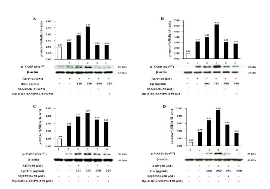 Fig. 1-22. Effects of extract from fermented bran on VASP phosphorylation in ADP-induced human platelet aggregation