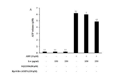 Fig. 3-6. Effects of Lw on ATP and serotonin release. (A) Effects of Lw on ATP release in ADP-activated platelets. (B) Effects of Lw on serotonin release