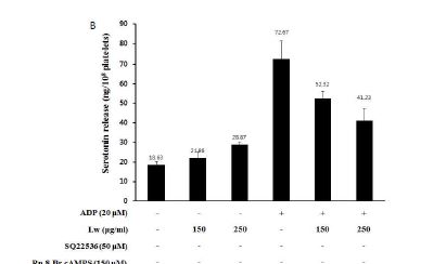 Fig. 3-6. Effects of Lw on ATP and serotonin release. (A) Effects of Lw on ATP release in ADP-activated platelets. (B) Effects of Lw on serotonin release