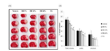 Fig. 1-1. Effect of Rice bran (RB), Ferulic acid (FA) on the infarct volume at 3 days after MCAO.