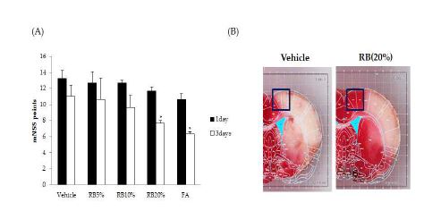 Fig. 1-2. Effect of Rice bran (RB20%) and Ferulic acid (FA) on functional behavioral recovery after MCAO.