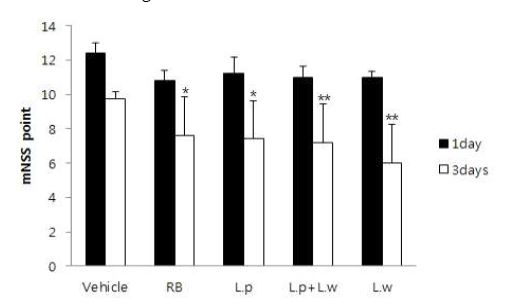 Fig. 1-7. Effect of Rice bran (RB), Fermented Rice bran (L.p, L.p+L.w, L.w) on functional behavioral recovery after MCAO