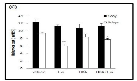Fig. 5-2. Effects of L.w, HBA and HBA+L.w on functional behavioral recovery after MCAO.